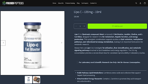 Web Design Project 2